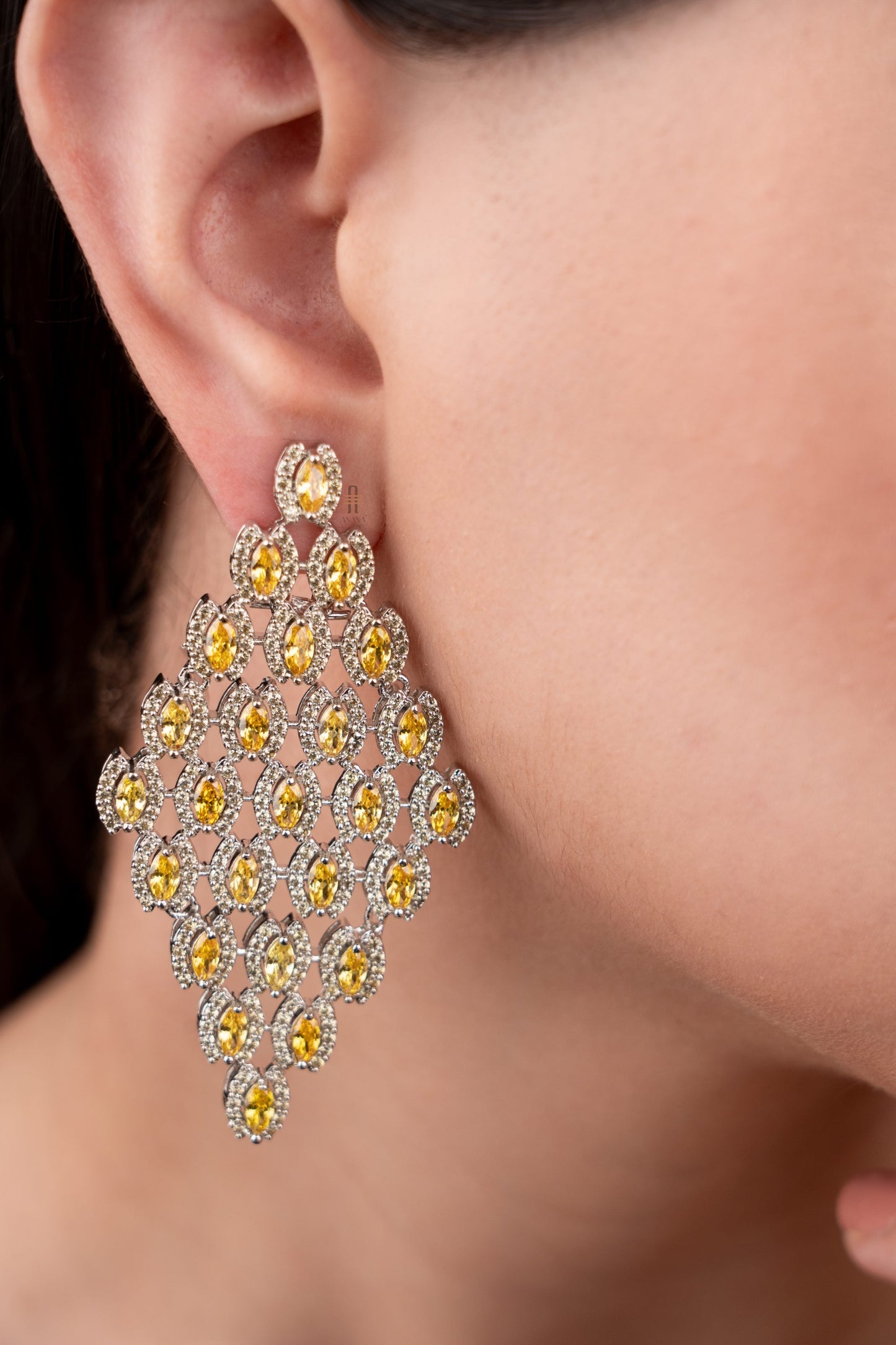 Laya Statement Earrings